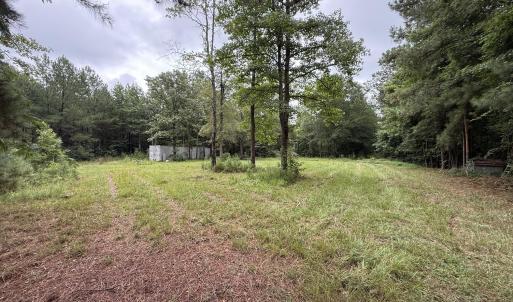 Photo #3 of 359 Roe And Sarah, Clarkton, NC 69.3 acres