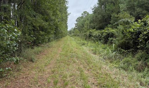 Photo #19 of 359 Roe And Sarah, Clarkton, NC 69.3 acres