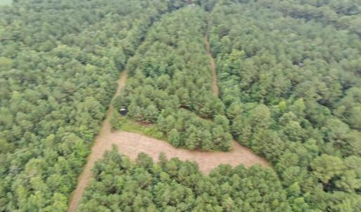 Photo #24 of 359 Roe And Sarah, Clarkton, NC 69.3 acres