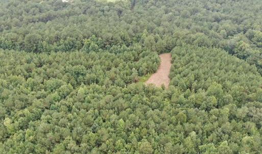 Photo #23 of 359 Roe And Sarah, Clarkton, NC 69.3 acres