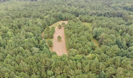 Photo #27 of 359 Roe And Sarah, Clarkton, NC 69.3 acres