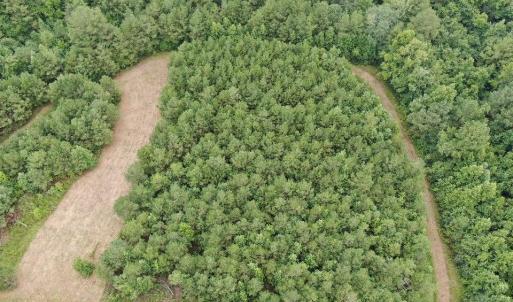 Photo #22 of 359 Roe And Sarah, Clarkton, NC 69.3 acres