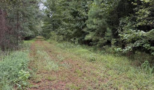 Photo #7 of 359 Roe And Sarah, Clarkton, NC 69.3 acres