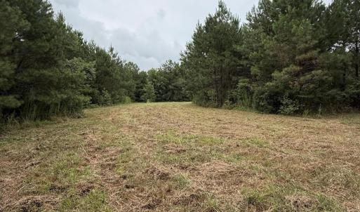 Photo #12 of 359 Roe And Sarah, Clarkton, NC 69.3 acres
