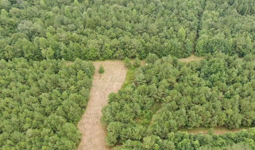 Photo #25 of 359 Roe And Sarah, Clarkton, NC 69.3 acres