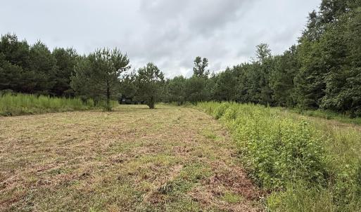 Photo #17 of 359 Roe And Sarah, Clarkton, NC 69.3 acres