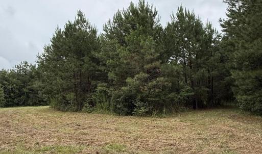 Photo #13 of 359 Roe And Sarah, Clarkton, NC 69.3 acres