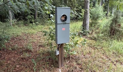 Photo #4 of 359 Roe And Sarah, Clarkton, NC 69.3 acres