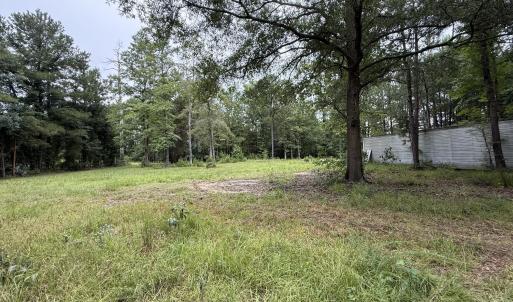 Photo #6 of 359 Roe And Sarah, Clarkton, NC 69.3 acres