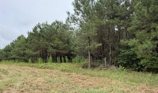 Photo #18 of 359 Roe And Sarah, Clarkton, NC 69.3 acres