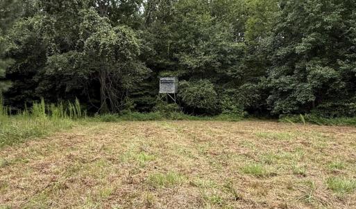 Photo #16 of 359 Roe And Sarah, Clarkton, NC 69.3 acres