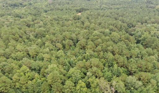 Photo #26 of 359 Roe And Sarah, Clarkton, NC 69.3 acres