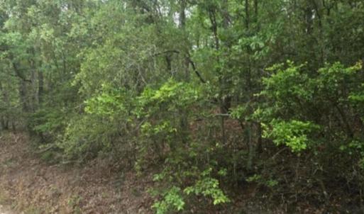 Photo #1 of Leonard, North Augusta, SC 0.7 acres