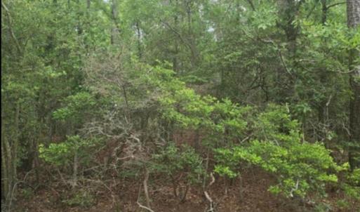 Photo #2 of Leonard, North Augusta, SC 0.7 acres