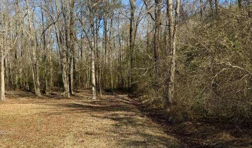 Photo #19 of Fred, Kenly, NC 36.5 acres