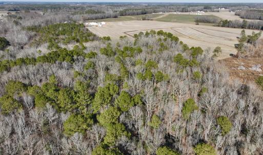 Photo #14 of Fred, Kenly, NC 36.5 acres