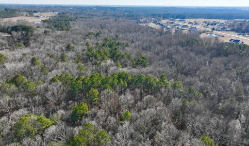 Photo #12 of Fred, Kenly, NC 36.5 acres