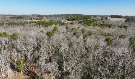 Photo #18 of Fred, Kenly, NC 36.5 acres