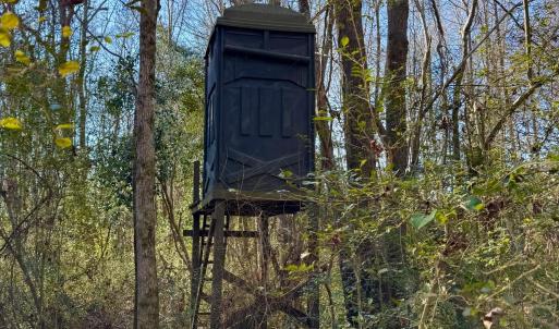 Photo #3 of Fred, Kenly, NC 36.5 acres