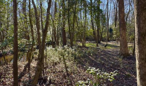 Photo #4 of Fred, Kenly, NC 36.5 acres