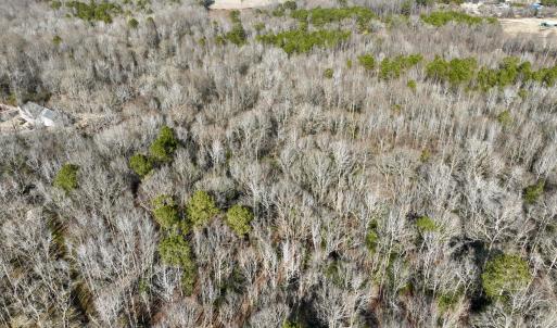 Photo #17 of Fred, Kenly, NC 36.5 acres