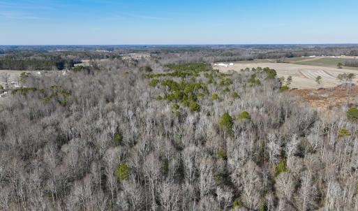 Photo #16 of Fred, Kenly, NC 36.5 acres