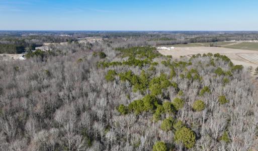 Photo #15 of Fred, Kenly, NC 36.5 acres