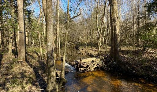 Photo #1 of Fred, Kenly, NC 36.5 acres