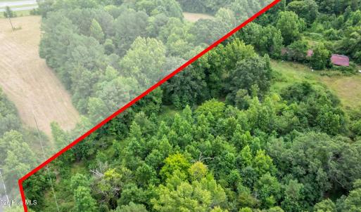 Photo #9 of 2701 Ike Brooks, Siler City, NC 9.7 acres