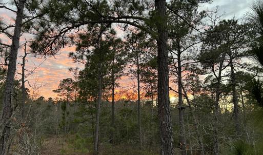Photo #2 of Sand Ridge, Hubert, NC 8.0 acres