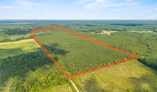 Photo #1 of Near 8944 Chauncey Town Rd, Lake Waccamaw, NC 67.7 acres