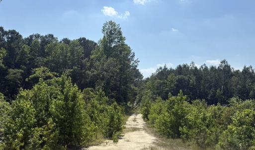 Photo #5 of Near 8944 Chauncey Town Rd, Lake Waccamaw, NC 67.7 acres