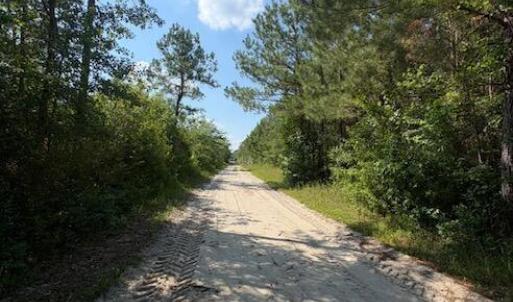 Photo #4 of Near 8944 Chauncey Town Rd, Lake Waccamaw, NC 67.7 acres