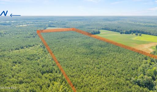 Photo #3 of Near 8944 Chauncey Town Rd, Lake Waccamaw, NC 67.7 acres