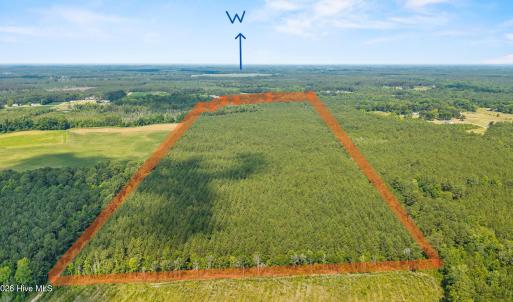 Photo #2 of Near 8944 Chauncey Town Rd, Lake Waccamaw, NC 67.7 acres