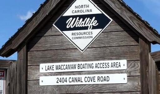 Photo #10 of Near 8944 Chauncey Town Rd, Lake Waccamaw, NC 67.7 acres