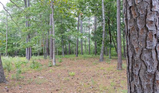 Photo #15 of 496 Hearthside, Bolivia, NC 0.6 acres