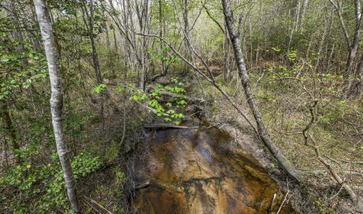 Photo #57 of 215 Cameron Camp, Cameron, NC 900.0 acres