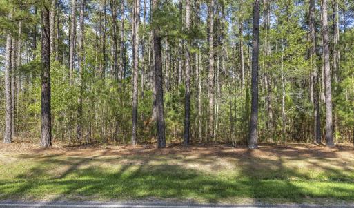 Photo #5 of 215 Cameron Camp, Cameron, NC 900.0 acres