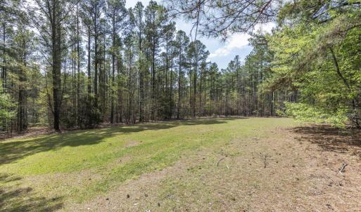 Photo #65 of 215 Cameron Camp, Cameron, NC 900.0 acres
