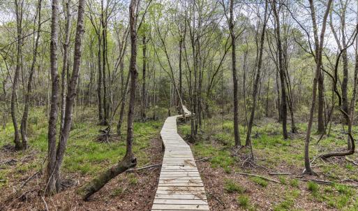 Photo #51 of 215 Cameron Camp, Cameron, NC 900.0 acres