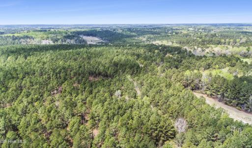 Photo #21 of 215 Cameron Camp, Cameron, NC 900.0 acres