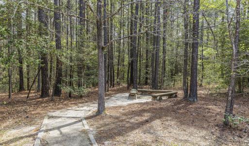 Photo #55 of 215 Cameron Camp, Cameron, NC 900.0 acres