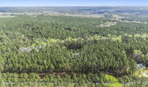 Photo #2 of 215 Cameron Camp, Cameron, NC 900.0 acres