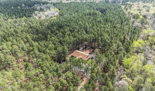 Photo #20 of 215 Cameron Camp, Cameron, NC 900.0 acres