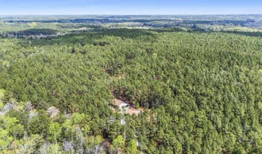 Photo #19 of 215 Cameron Camp, Cameron, NC 900.0 acres