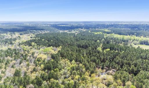 Photo #36 of 215 Cameron Camp, Cameron, NC 900.0 acres