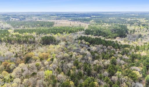 Photo #23 of 215 Cameron Camp, Cameron, NC 900.0 acres