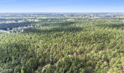 Photo #22 of 215 Cameron Camp, Cameron, NC 900.0 acres