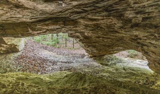 Photo #36 of 3100 Buckhorn, Sanford, NC 759.3 acres